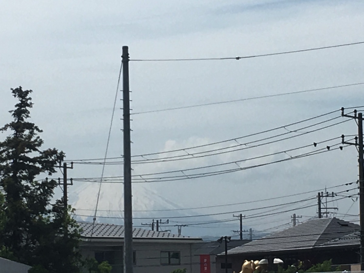 親木橋からの富士山