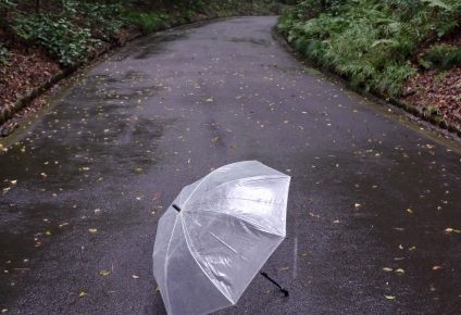 濡れた傘と小道