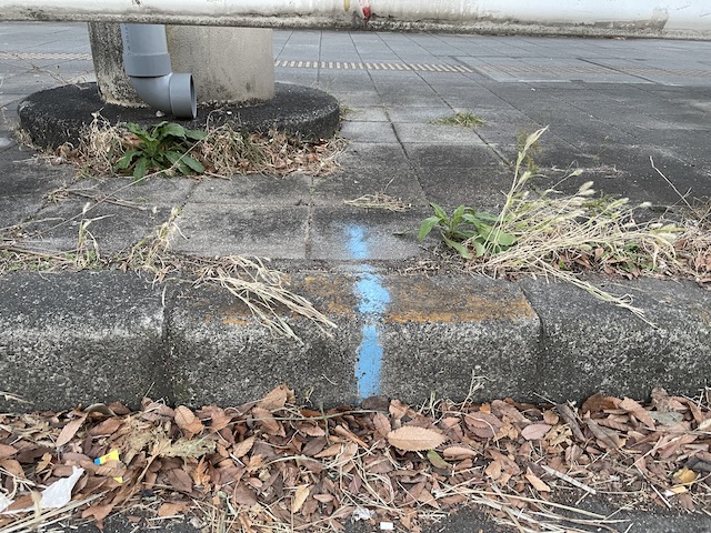 箱根駅伝往路の鶴見中継所の中継点の印